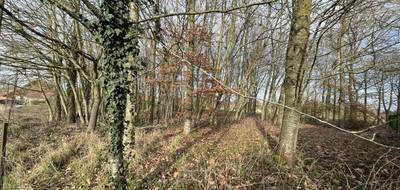 Terrain seul à Vendhuile en Aisne (02) de 1000 m² à vendre au prix de 30000€ - 1