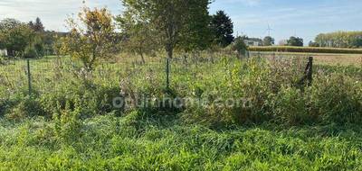 Terrain seul à La Neuville-Bosmont en Aisne (02) de 1165 m² à vendre au prix de 23000€ - 3