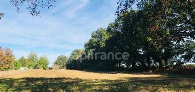 Terrain seul à Le Chautay en Cher (18) de 9346 m² à vendre au prix de 99000€ - 4
