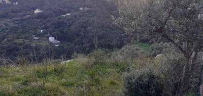 Terrain seul à Bastia en Haute-Corse (2B) de 795 m² à vendre au prix de 315000€ - 2