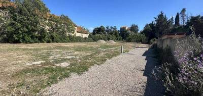 Terrain seul à Narbonne en Aude (11) de 730 m² à vendre au prix de 104500€ - 1