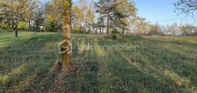 Terrain seul à Mauzac-et-Grand-Castang en Dordogne (24) de 2500 m² à vendre au prix de 34000€ - 2