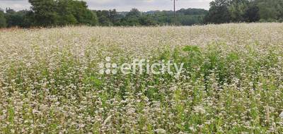 Terrain seul à Seilhac en Corrèze (19) de 2176 m² à vendre au prix de 35900€ - 1