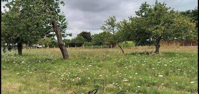 Terrain seul à Baugé-en-Anjou en Maine-et-Loire (49) de 1300 m² à vendre au prix de 54000€ - 3