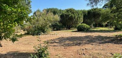 Terrain seul à Montaigut-sur-Save en Haute-Garonne (31) de 761 m² à vendre au prix de 120000€ - 1