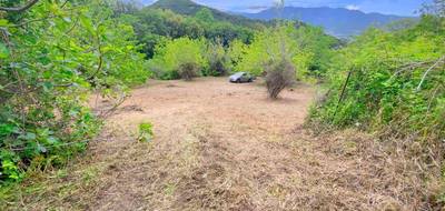 Terrain seul à Oletta en Haute-Corse (2B) de 3218 m² à vendre au prix de 295000€ - 2