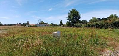 Terrain seul à Clermont en Landes (40) de 761 m² à vendre au prix de 64000€ - 2