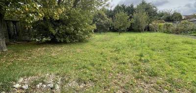 Terrain seul à Toulouse en Haute-Garonne (31) de 880 m² à vendre au prix de 260000€ - 3