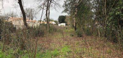 Terrain seul à Saint-Georges-d'Oléron en Charente-Maritime (17) de 813 m² à vendre au prix de 212000€ - 1