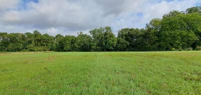 Terrain seul à Vatry en Marne (51) de 1962 m² à vendre au prix de 45000€ - 1