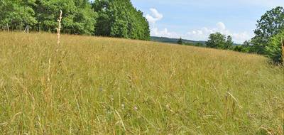 Terrain seul à La Cassagne en Dordogne (24) de 3000 m² à vendre au prix de 43990€ - 3