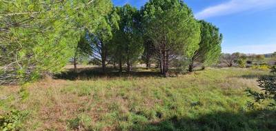 Terrain seul à Pouzolles en Hérault (34) de 6370 m² à vendre au prix de 19500€ - 1