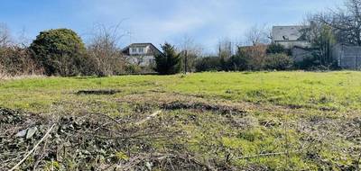 Terrain seul à Dadonville en Loiret (45) de 2079 m² à vendre au prix de 77000€ - 2