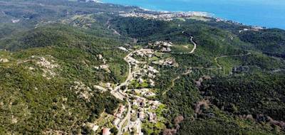 Terrain seul à Sari-Solenzara en Corse-du-Sud (2A) de 6000 m² à vendre au prix de 540000€ - 1
