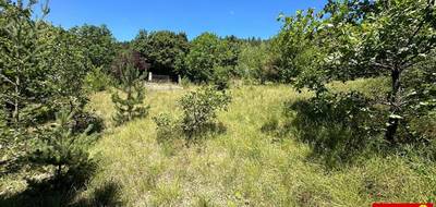 Terrain seul à La Mure-Argens en Alpes-de-Haute-Provence (04) de 1380 m² à vendre au prix de 79900€ - 4