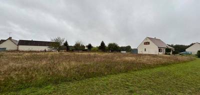 Terrain seul à Vernou-en-Sologne en Loir-et-Cher (41) de 928 m² à vendre au prix de 22000€ - 3