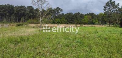 Terrain seul à Tosse en Landes (40) de 650 m² à vendre au prix de 288750€ - 1