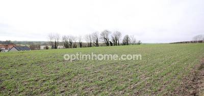Terrain seul à Pernes en Pas-de-Calais (62) de 4870 m² à vendre au prix de 55000€ - 3