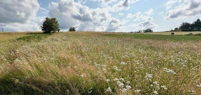 Terrain seul à Corgnac-sur-l'Isle en Dordogne (24) de 2900 m² à vendre au prix de 19000€ - 1