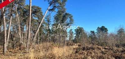 Terrain seul à Chancelade en Dordogne (24) de 17000 m² à vendre au prix de 69800€ - 2