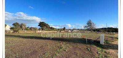 Terrain seul à Saint-Pierre-Quiberon en Morbihan (56) de 302 m² à vendre au prix de 153000€ - 1