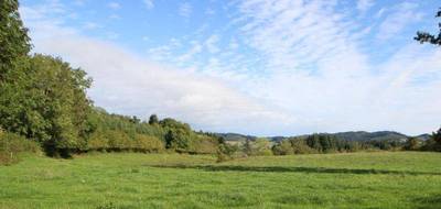 Terrain seul à La Clayette en Saône-et-Loire (71) de 2962 m² à vendre au prix de 22000€ - 1