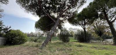 Terrain seul à Florensac en Hérault (34) de 600 m² à vendre au prix de 129000€ - 3