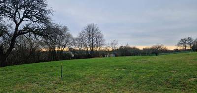 Terrain seul à Champagné en Sarthe (72) de 1947 m² à vendre au prix de 95800€ - 1