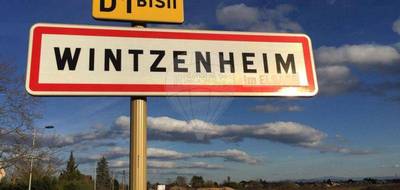 Terrain seul à Wintzenheim en Haut-Rhin (68) de 2500 m² à vendre au prix de 385000€ - 2