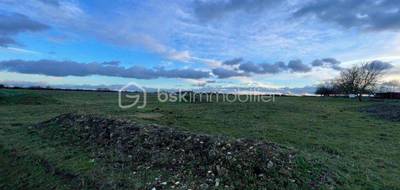 Terrain seul à Ligueil en Indre-et-Loire (37) de 4200 m² à vendre au prix de 35000€ - 3