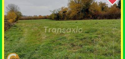 Terrain seul à Malicorne en Allier (03) de 3000 m² à vendre au prix de 35000€ - 1
