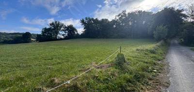 Terrain seul à Pont-du-Casse en Lot-et-Garonne (47) de 9496 m² à vendre au prix de 257000€ - 3