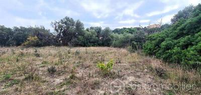 Terrain seul à La Palme en Aude (11) de 1220 m² à vendre au prix de 315000€ - 3