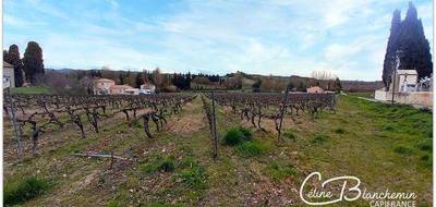 Terrain seul à Brugairolles en Aude (11) de 15635 m² à vendre au prix de 160280€ - 4