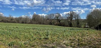 Terrain seul à Andrein en Pyrénées-Atlantiques (64) de 2000 m² à vendre au prix de 40000€ - 1