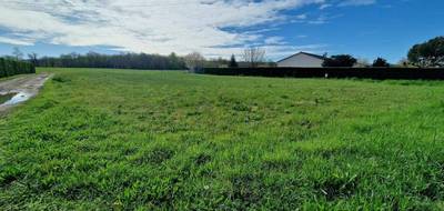 Terrain seul à Neuvic en Dordogne (24) de 1612 m² à vendre au prix de 40000€ - 2