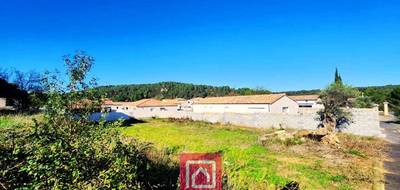 Terrain seul à Cessenon-sur-Orb en Hérault (34) de 722 m² à vendre au prix de 113000€ - 4