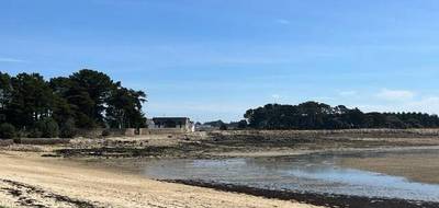 Terrain seul à Saint-Philibert en Morbihan (56) de 671 m² à vendre au prix de 282500€ - 2