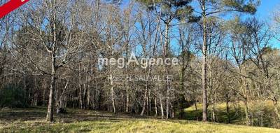 Terrain seul à Campsegret en Dordogne (24) de 23500 m² à vendre au prix de 31800€ - 2