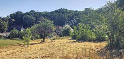 Terrain seul à Saint-Gervais-la-Forêt en Loir-et-Cher (41) de 1331 m² à vendre au prix de 162000€ - 1