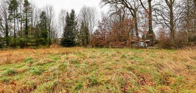 Terrain seul à Peyrilhac en Haute-Vienne (87) de 1468 m² à vendre au prix de 42000€ - 4