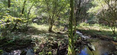 Terrain seul à Clergoux en Corrèze (19) de 12850 m² à vendre au prix de 18990€ - 3