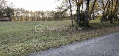 Terrain seul à Mauzac-et-Grand-Castang en Dordogne (24) de 2500 m² à vendre au prix de 34000€ - 4