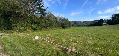 Terrain seul à Pont-du-Casse en Lot-et-Garonne (47) de 9496 m² à vendre au prix de 257000€ - 4