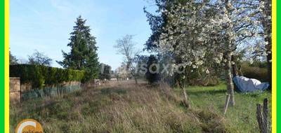 Terrain seul à Lamotte-Beuvron en Loir-et-Cher (41) de 3900 m² à vendre au prix de 65000€ - 4