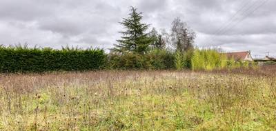 Terrain seul à Cheverny en Loir-et-Cher (41) de 1580 m² à vendre au prix de 60000€ - 2