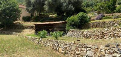 Terrain seul à Alata en Corse-du-Sud (2A) de 1110 m² à vendre au prix de 236000€ - 3