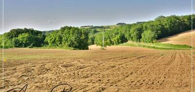 Terrain seul à Port-Sainte-Marie en Lot-et-Garonne (47) de 2500 m² à vendre au prix de 61900€ - 3