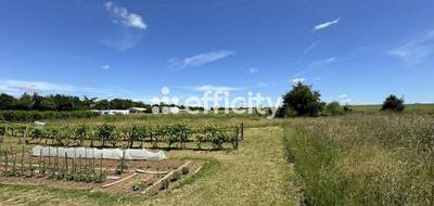 Terrain seul à Barro en Charente (16) de 5300 m² à vendre au prix de 87450€ - 1