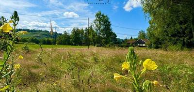 Terrain seul à Le Thillot en Vosges (88) de 1090 m² à vendre au prix de 33000€ - 3